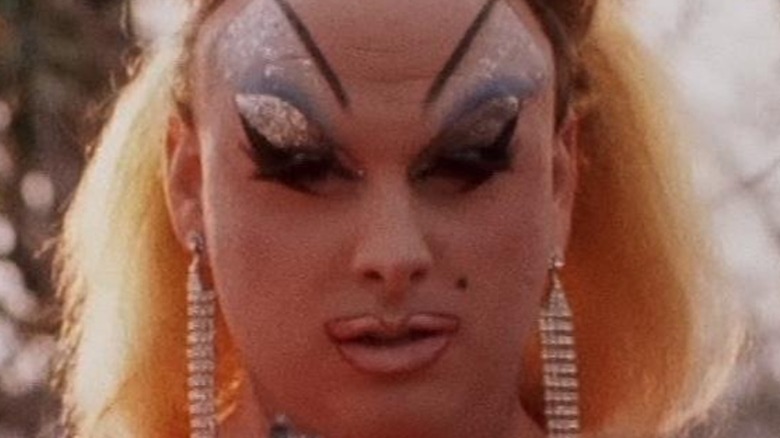 Pink Flamingos Divine