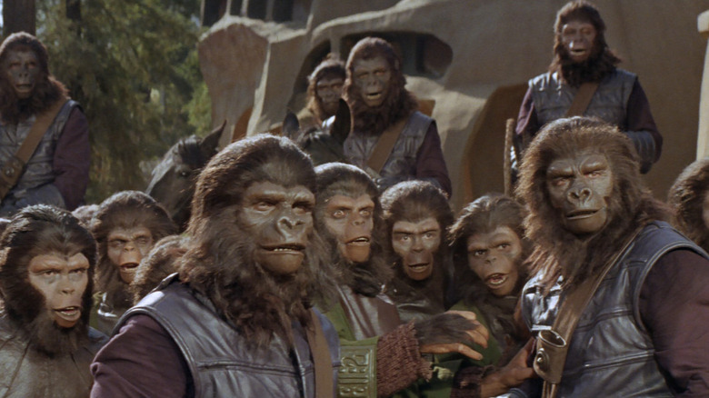 A group of apes in Planet of the Apes