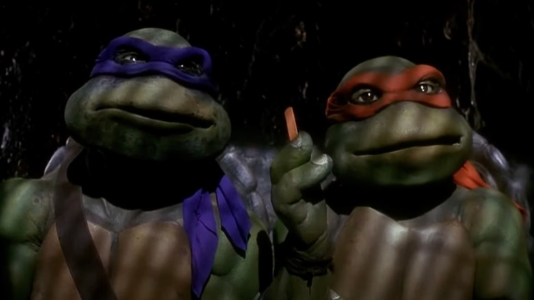 Teenage Mutant Ninja Turtles Donatello Michelangelo