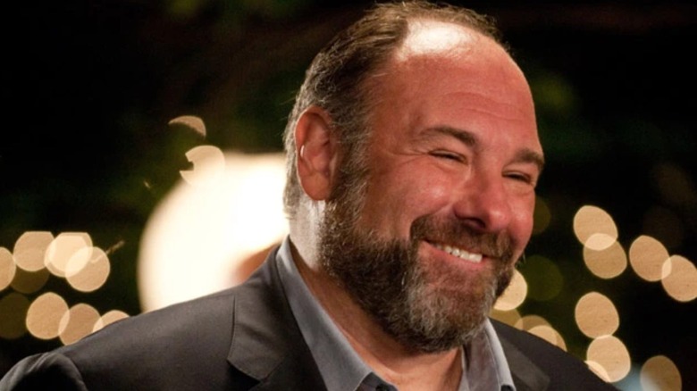 James Gandolfini as Albert grinning in Enough Said