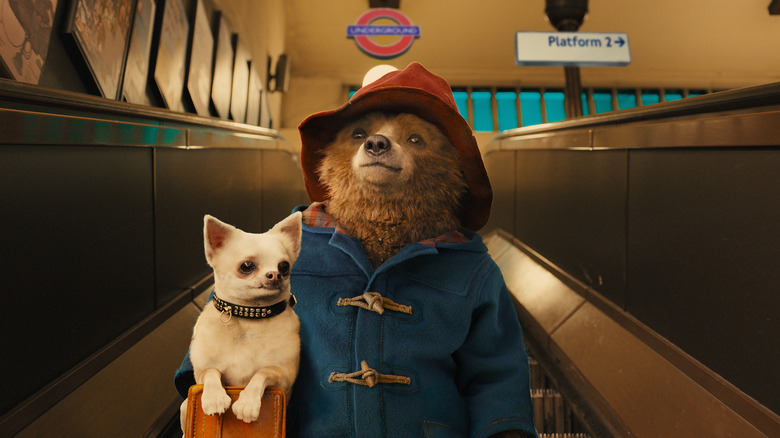 Paddington movie 2014