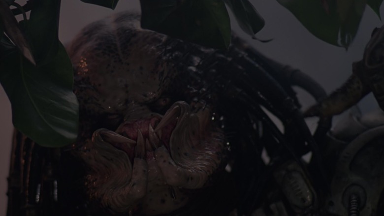 The Predator in closeup
