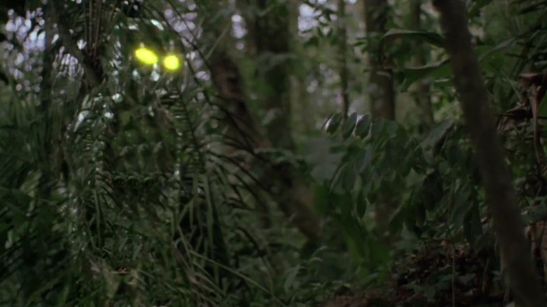 Predator cloaking device