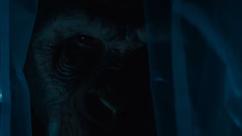 An extreme closeup of Ben in Primate