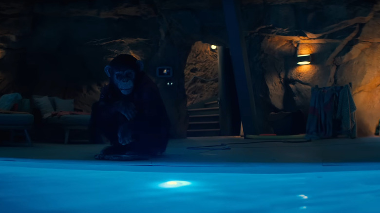 Ben crouching by a pool in Primate