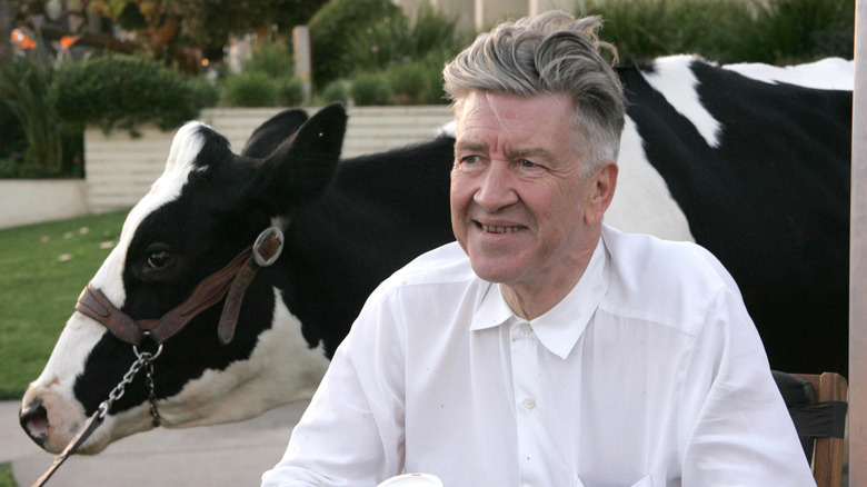 David Lynch sitting next to a cow