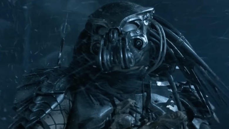 A Predator stands in a blizzard