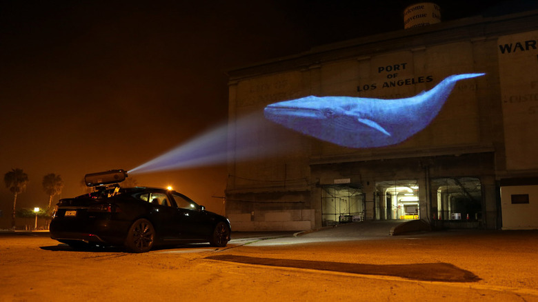 Racing Extinction