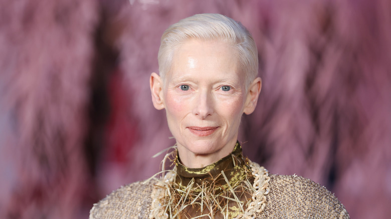 गुलाबी पार्श्वभूमीसह टिल्डा स्विंटन