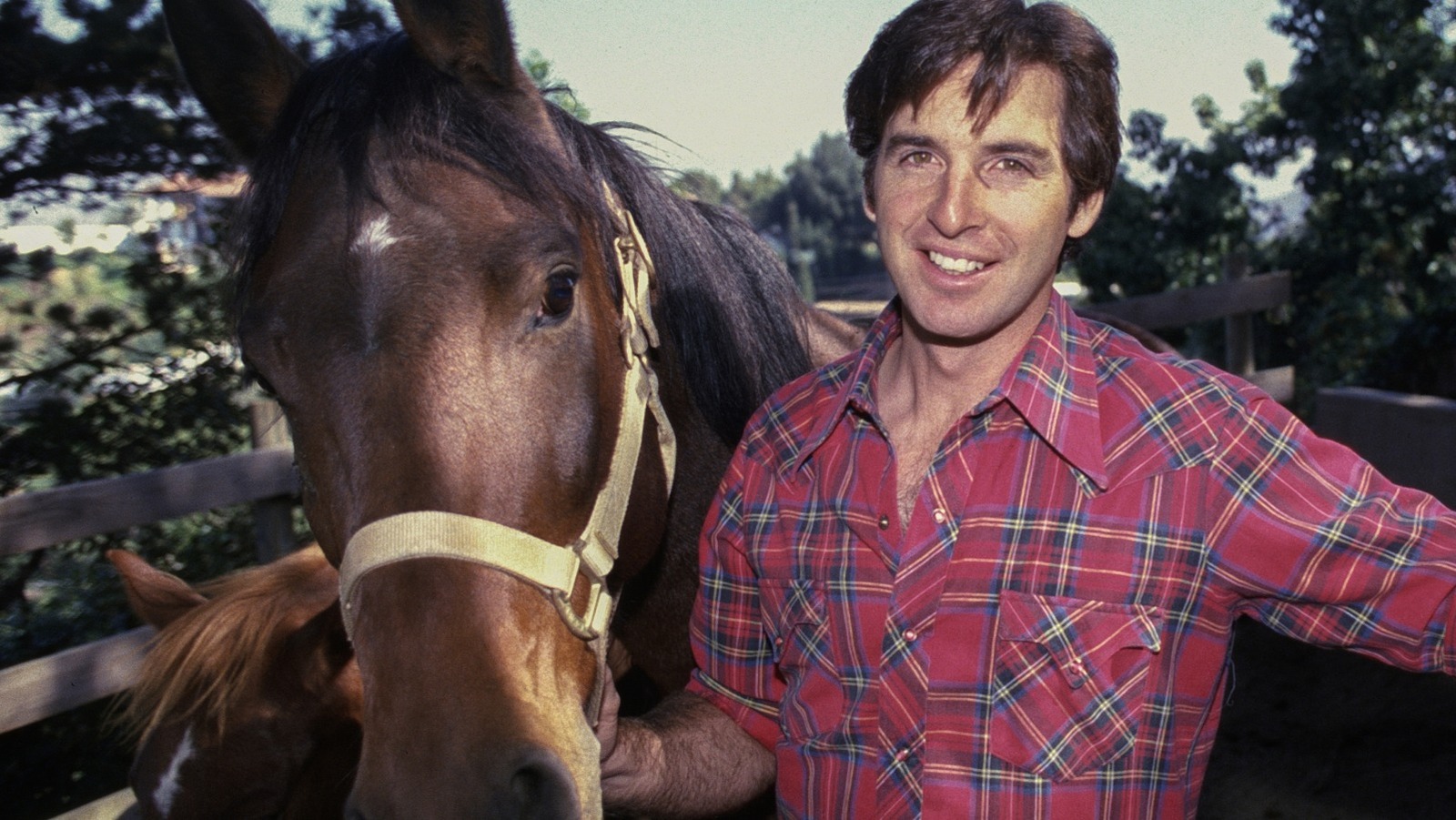 Revenge Of The Nerds And Lizzie McGuire Actor Robert Carradine Dead At 71