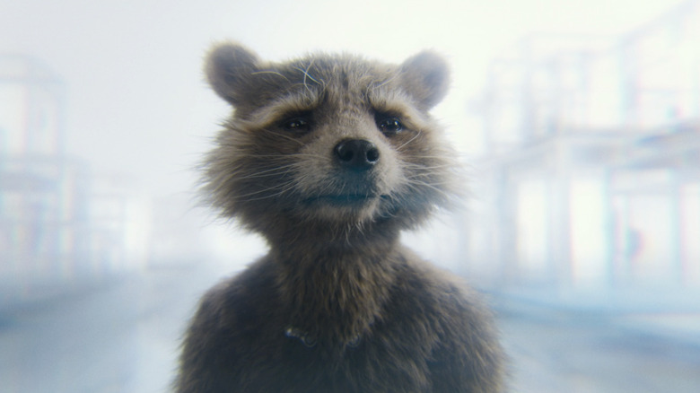 Rocket Raccoon in Guardians of the Galaxy Vol. 3