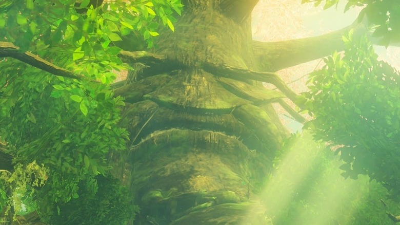 The Great Deku Tree frowns in The Legend of Zelda: Breath of the Wild