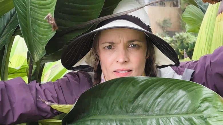 உதவியை அனுப்பு என்பதில் சில இலைகளை உற்று நோக்கும் லிண்டா லிடில்