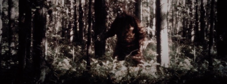 sasquatch trailer