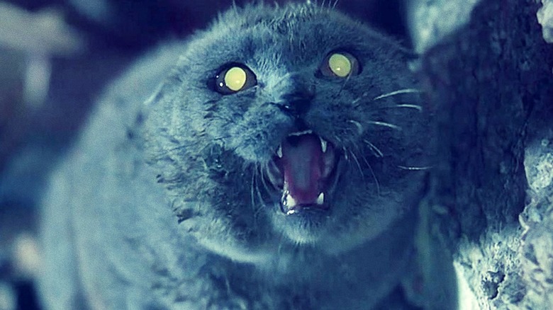 The Cat Pet Sematary