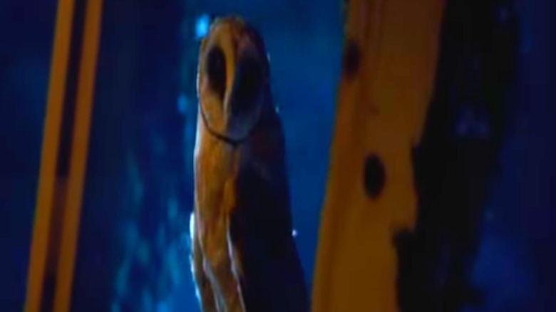The Fourth Kind owl scene