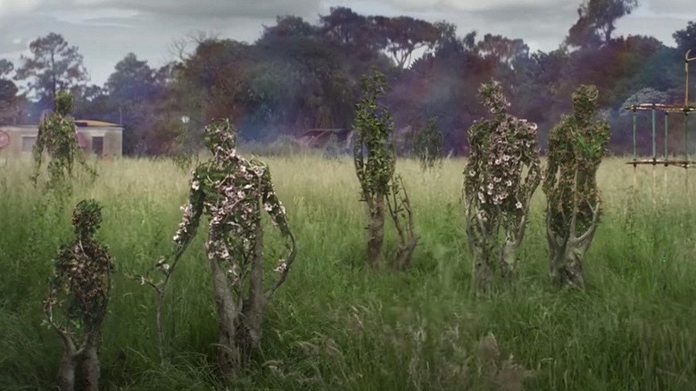 The beautiful twisted weird scenery of Annihilation
