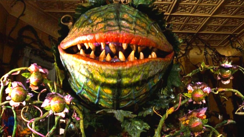 The Audrey II in Little Shop of Horrors