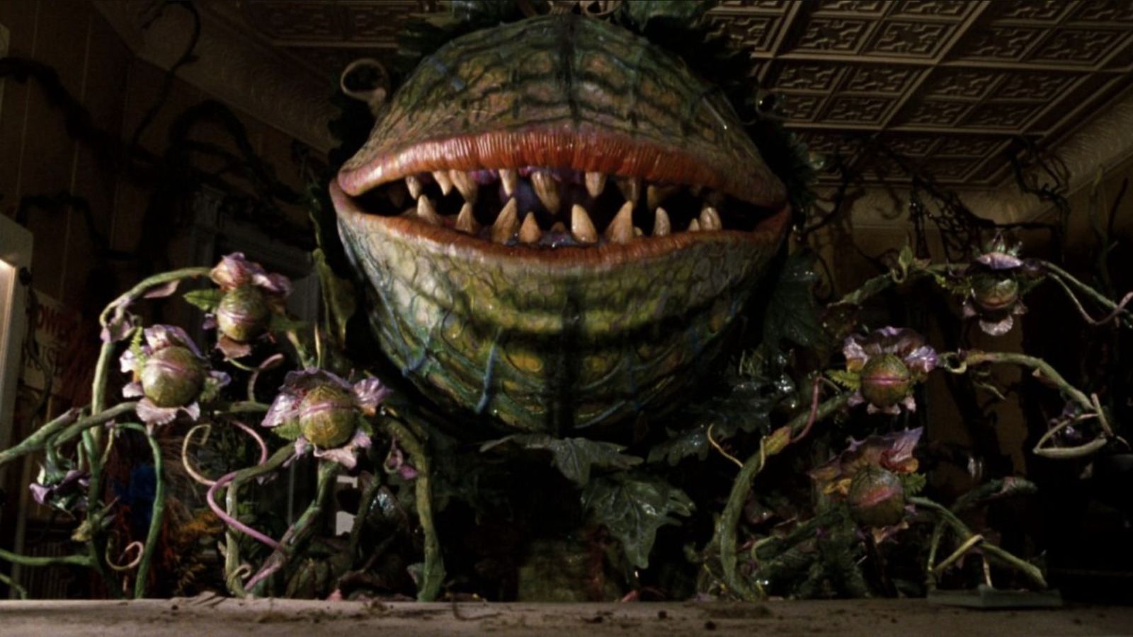 Horror plant. Одри 2 магазинчик ужасов. Little shop of Horrors (1986) маленький магазинчик ужасов Лавка ужасов.