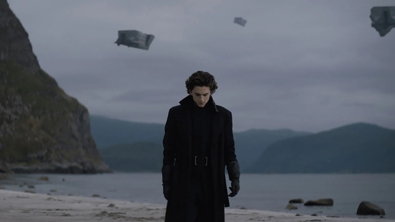 Timothee Chalamet shore mountains