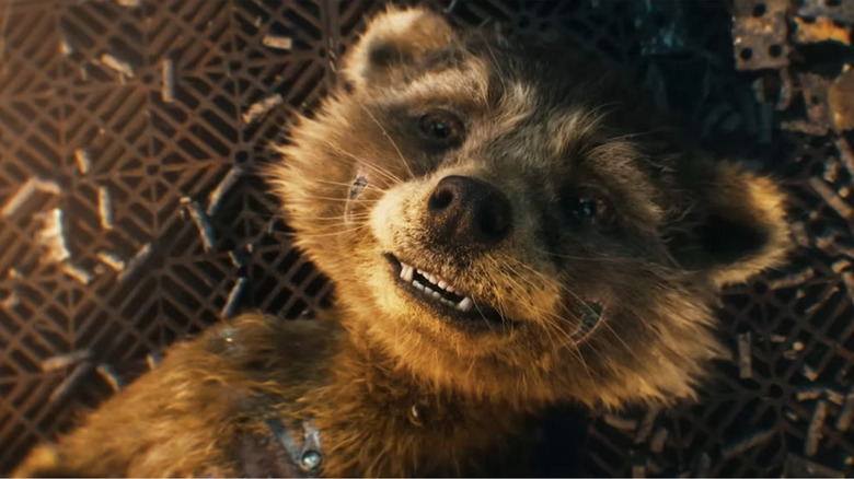 Young Rocket Raccoon in Guardians of the Galaxy Vol. 3