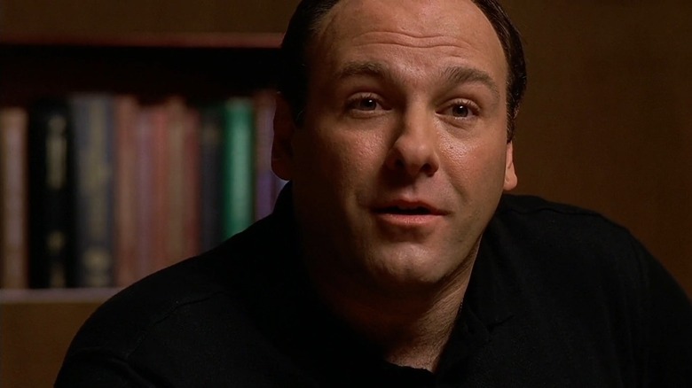 James Gandolfini stars in The Sopranos