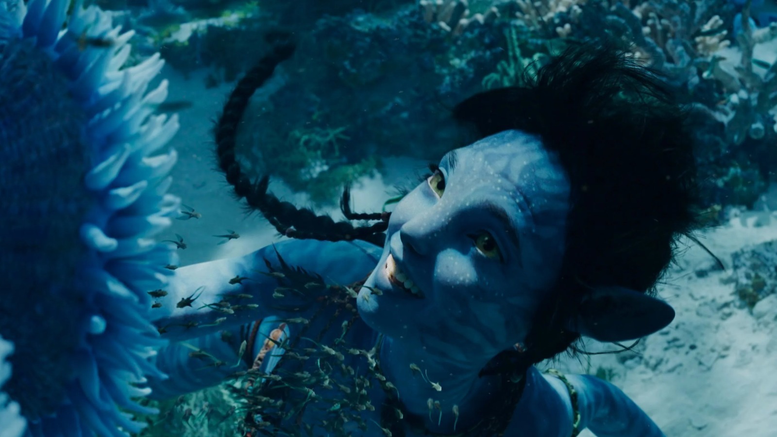 كان تحول Sigourney Weaver في سن المراهقة لـ Avatar: The Way of the Water مصدر إلهام لـ Zoe Saldaña