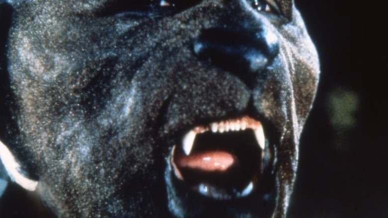 Manimal