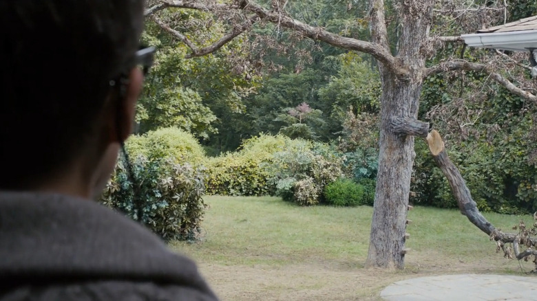Ethan Hawke Sinister Tree