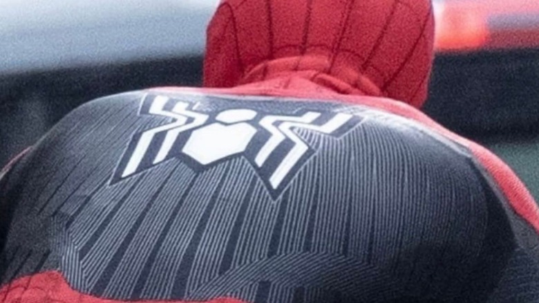 Spider-Man's Back