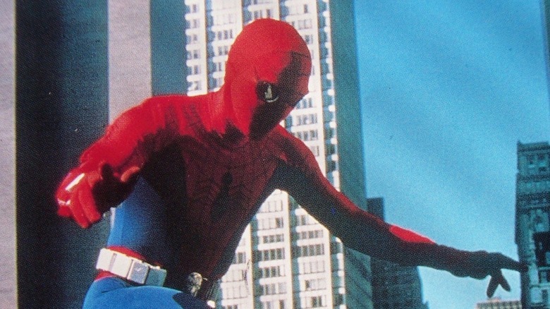 The Amazing Spider-Man Nicholas Hammond