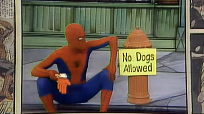 Danny Seagren's Spider-Man sits on the sidewalk beside a No Dogs Allowed sign in Spidey Super Stories
