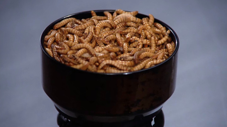 Star Trek Next Generation Conspiracy Worms