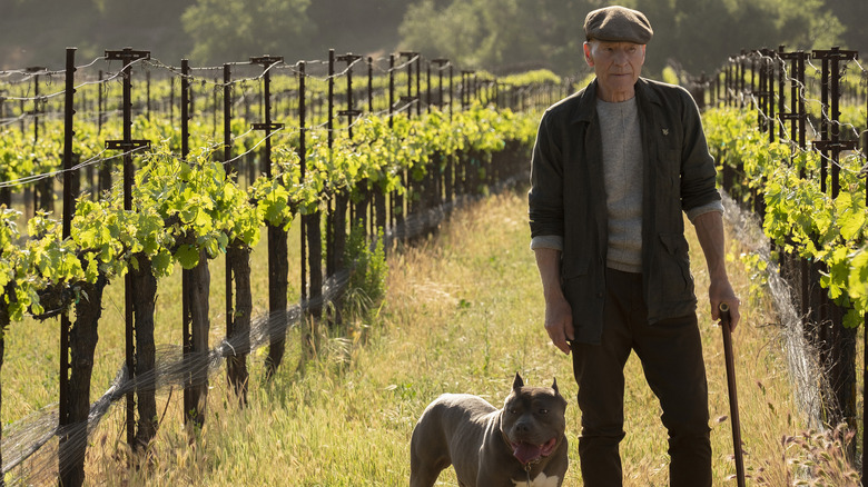 Star Trek: Picard vineyard