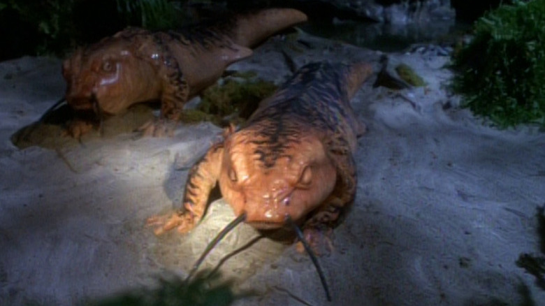 Tom Paris and Captain Janeway have transformed into big pink salamanders on Star Trek: Voyager