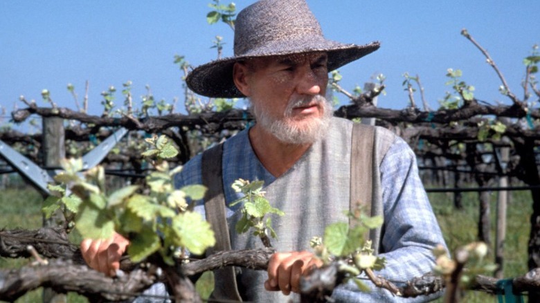 Jean-Luc Picard at French Vineyard