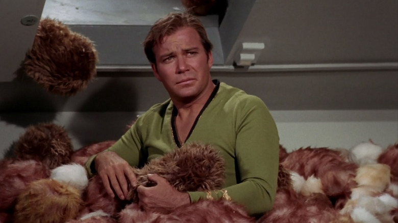 William Shatner as James Kirk holding a tribble while buried up to his waist in tribbles on Star Trek: The Original Series