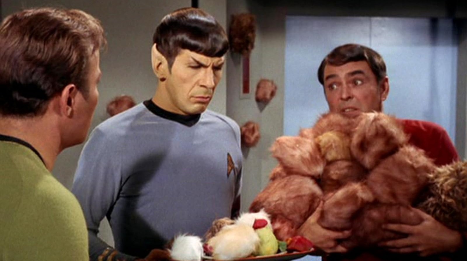 De Tribbles van Star Trek zijn geïnspireerd op een echte dierenplaag in Australië