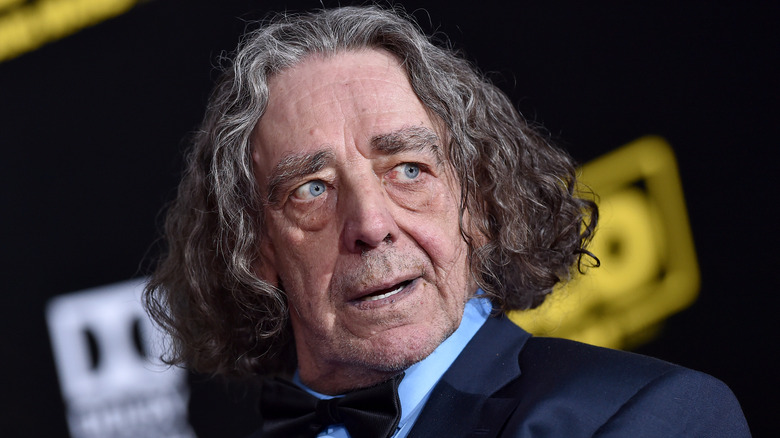 Peter Mayhew attends 