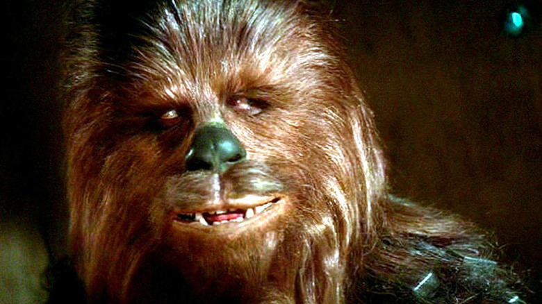 A close-up of Chewbacca glancing worriedly to the side in Star Wars Episode IV: A New Hope