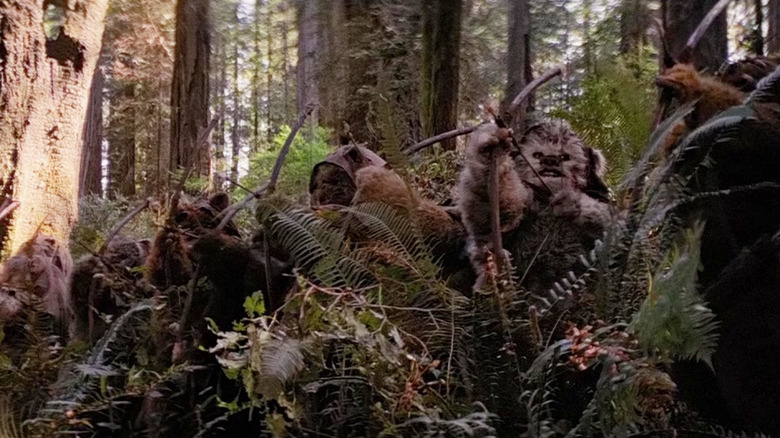 A group of Ewoks coming out of the bushes on Endor in Star Wars: Return of the Jedi