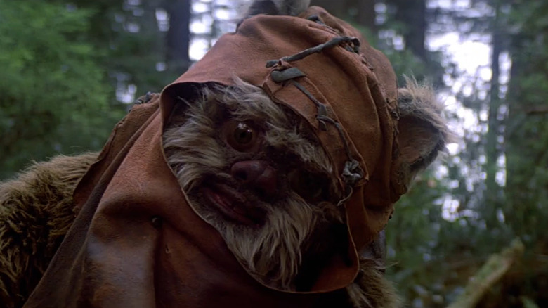 Wicket the Ewok tilting his head looking at Leia in Star Wars: Return of the Jedi