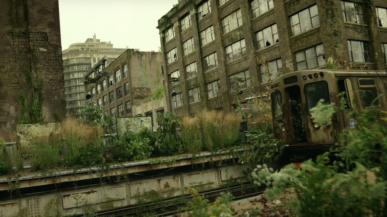 Station Eleven Weeds Train Tracks 