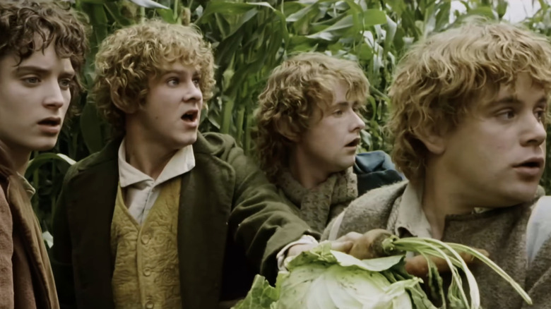 Frodo, Merry, Pippin, and Sam in Farmer Maggot's fields in The Fellowship of the Ring