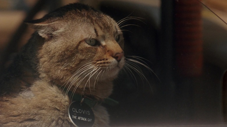 स्लीपवॉकर्समधील मांजर क्लोविस
