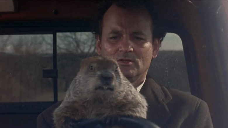 Bill Murray as Phil Connors takes a ride with Punxsutawney Phil in Groundhog Day