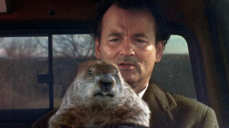 Groundhog day