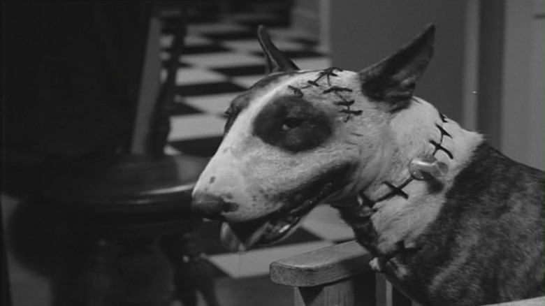 Frankenweenie