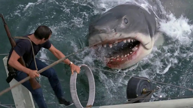 Jaws