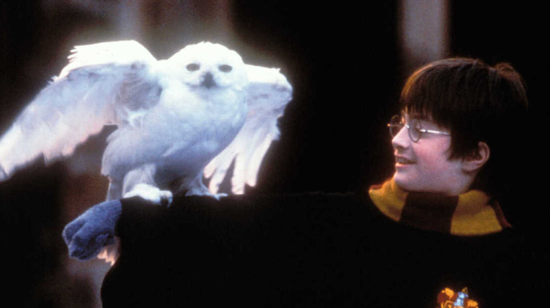 Harry Potter and the Sorcerer's Stone